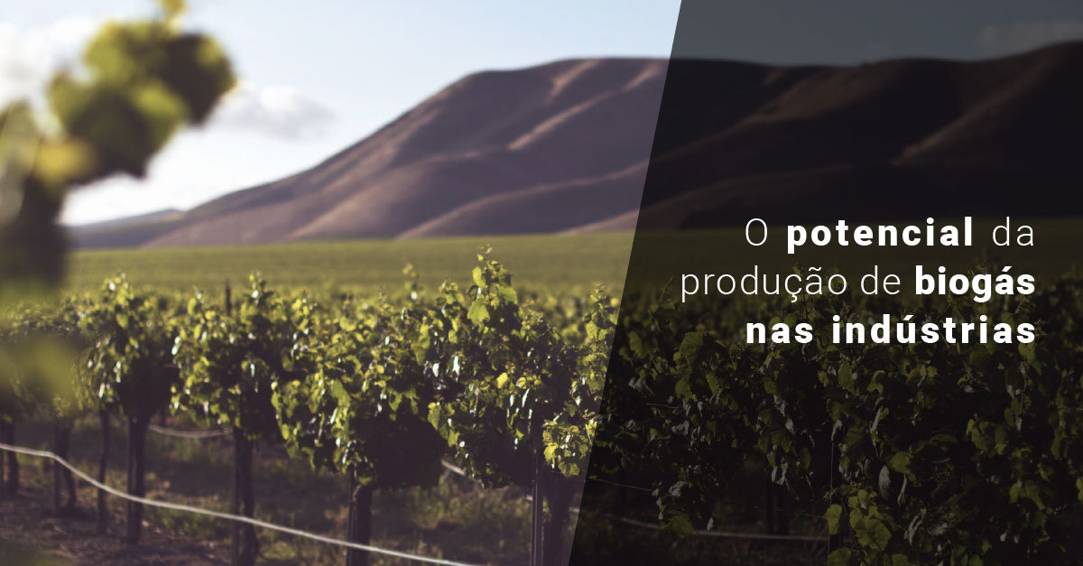 O potencial da produção de biogás nas indústrias